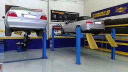 SHADDAI MOTORS S.L. (N. PICHON)